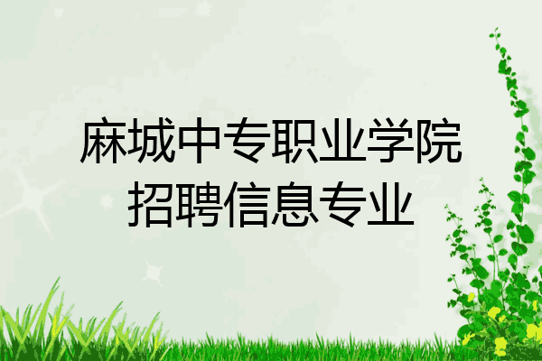 麻城中专职业学院招聘信息专业