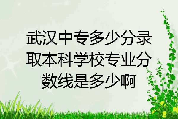 武汉中专多少分录取本科学校专业分数线是多少啊