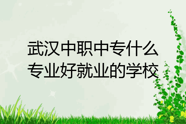 武汉中职中专什么专业好就业的学校