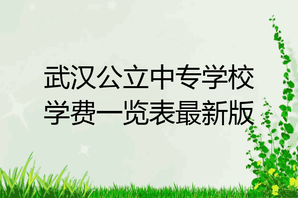 武汉公立中专学校学费一览表最新版