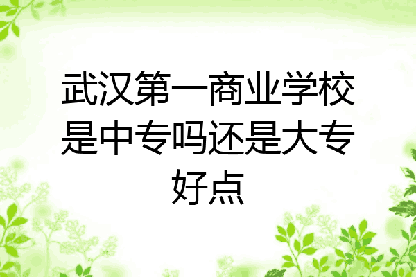 武汉第一商业学校是中专吗还是大专好点