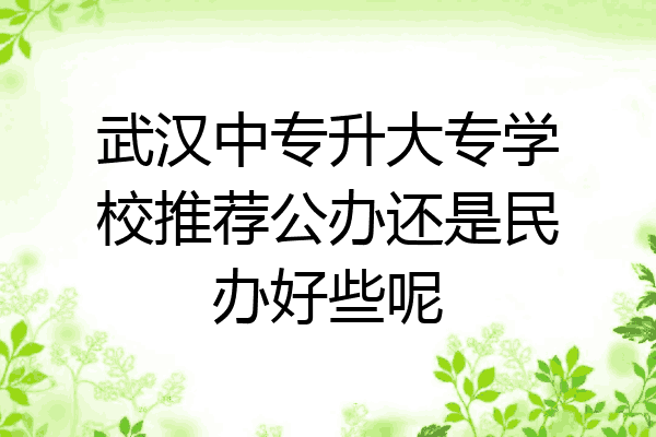 武汉中专升大专学校推荐公办还是民办好些呢