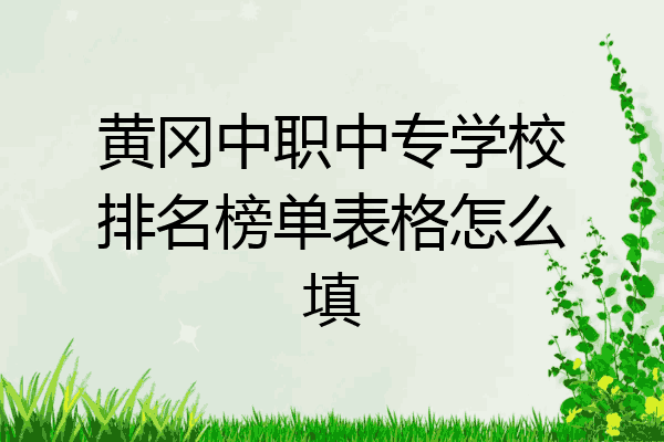 黄冈中职中专学校排名榜单表格怎么填
