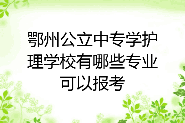 鄂州公立中专学护理学校有哪些专业可以报考