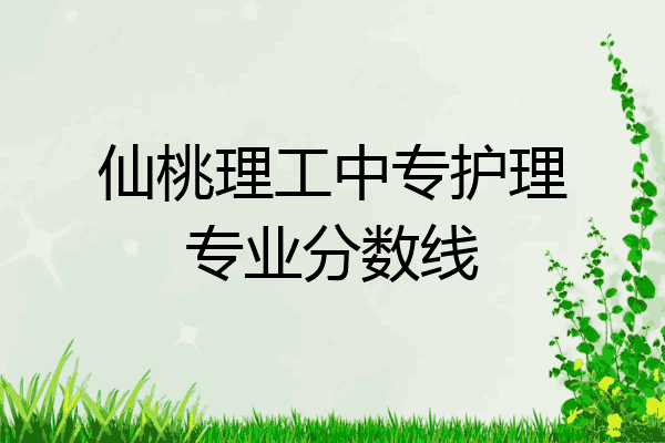 仙桃理工中专护理专业分数线