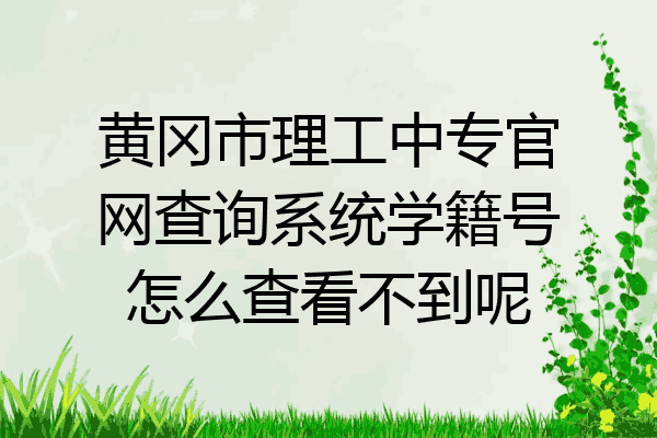 黄冈市理工中专官网查询系统学籍号怎么查看不到呢