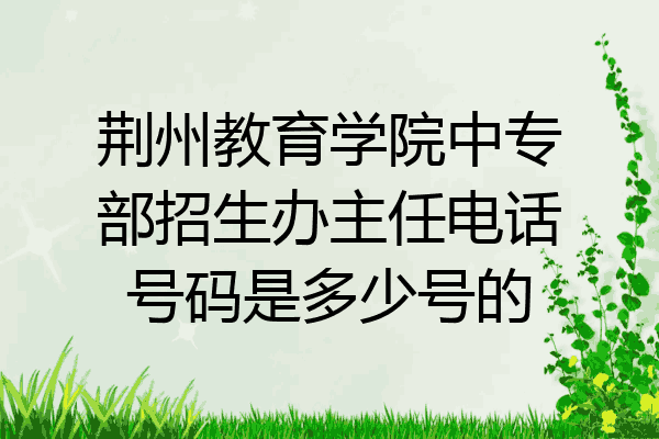 荆州教育学院中专部招生办主任电话号码是多少号的