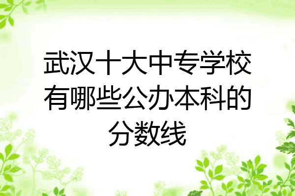 武汉十大中专学校有哪些公办本科的分数线