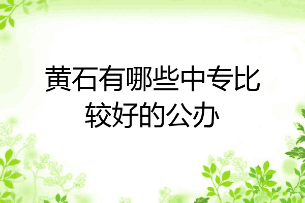 黄石有哪些中专比较好的公办