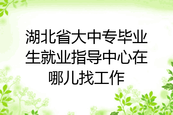 湖北省大中专毕业生就业指导中心在哪儿找工作