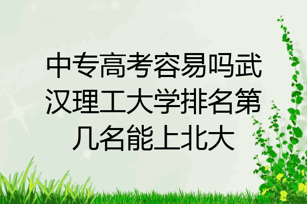 中专高考容易吗武汉理工大学排名第几名能上北大