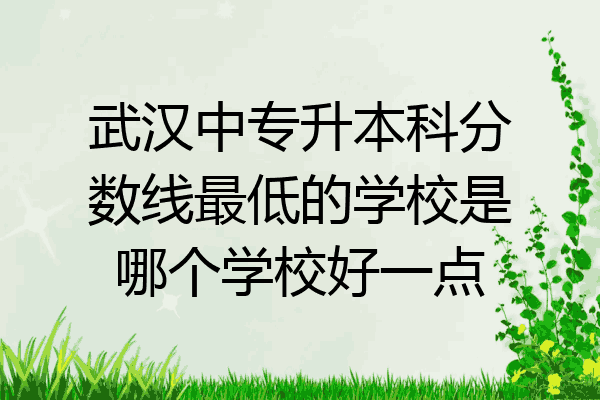 武汉中专升本科分数线最低的学校是哪个学校好一点