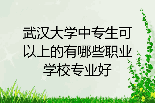 武汉大学中专生可以上的有哪些职业学校专业好