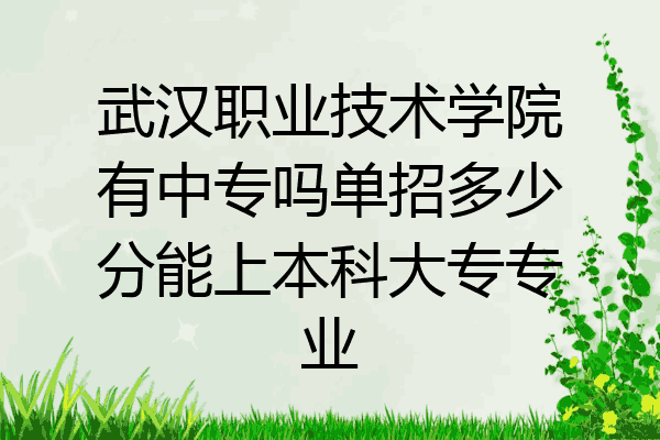 武汉职业技术学院有中专吗单招多少分能上本科大专专业
