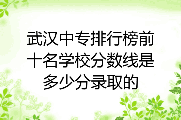 武汉中专排行榜前十名学校分数线是多少分录取的