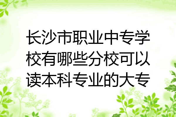 长沙市职业中专学校有哪些分校可以读本科专业的大专