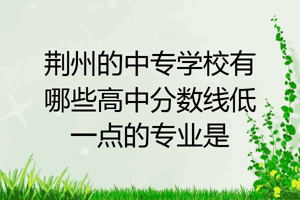 荆州的中专学校有哪些高中分数线低一点的专业是