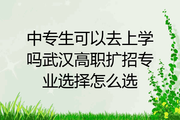 中专生可以去上学吗武汉高职扩招专业选择怎么选