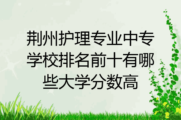 荆州护理专业中专学校排名前十有哪些大学分数高