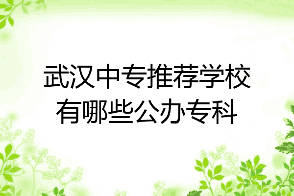 武汉中专推荐学校有哪些公办专科