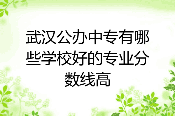 武汉公办中专有哪些学校好的专业分数线高