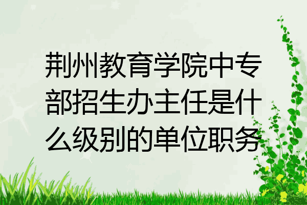荆州教育学院中专部招生办主任是什么级别的单位职务