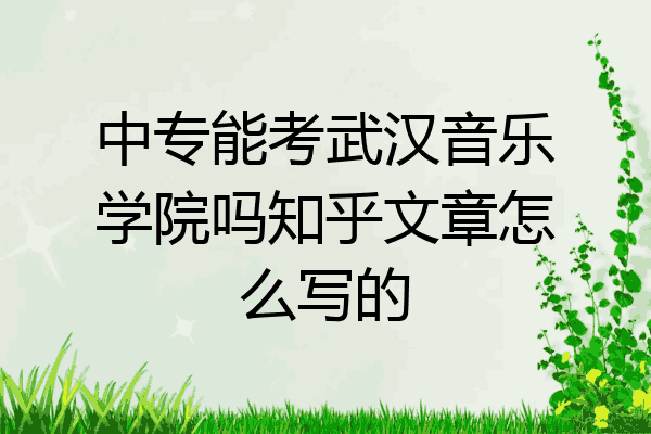 中专能考武汉音乐学院吗知乎文章怎么写的