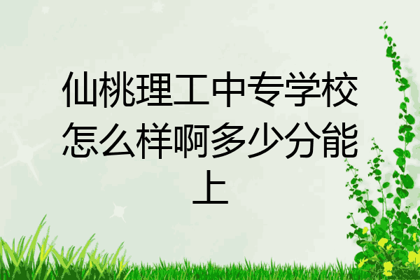 仙桃理工中专学校怎么样啊多少分能上