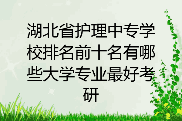 湖北省护理中专学校排名前十名有哪些大学专业最好考研
