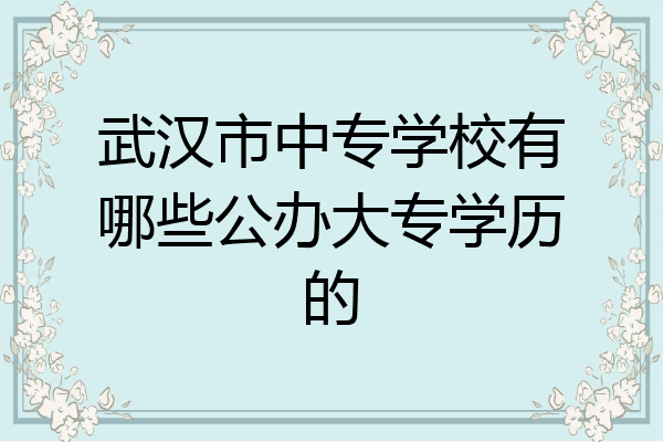 武汉市中专学校有哪些公办大专学历的