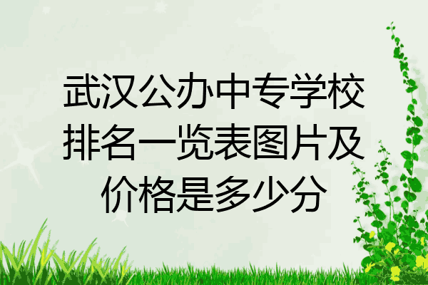 武汉公办中专学校排名一览表图片及价格是多少分