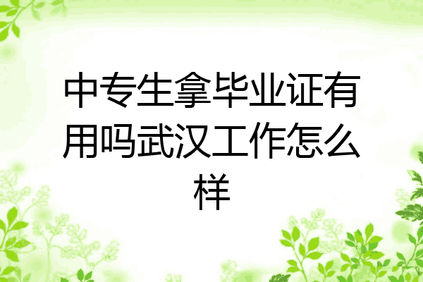 中专生拿毕业证有用吗武汉工作怎么样