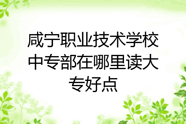 咸宁职业技术学校中专部在哪里读大专好点