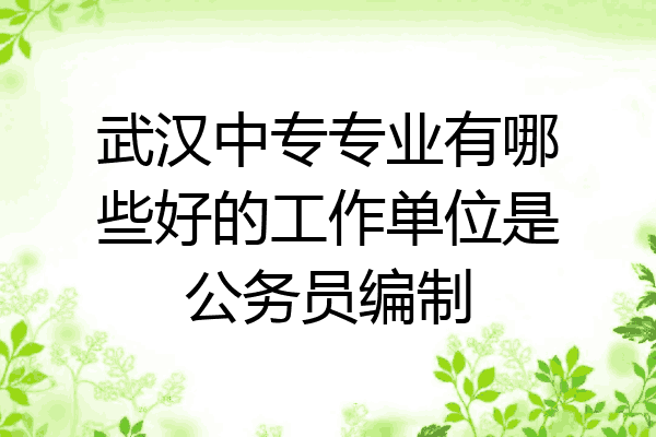 武汉中专专业有哪些好的工作单位是公务员编制