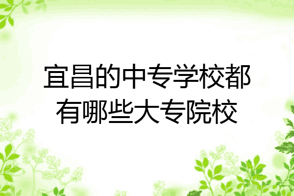 宜昌的中专学校都有哪些大专院校