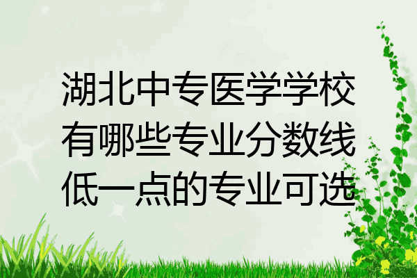 湖北中专医学学校有哪些专业分数线低一点的专业可选