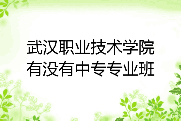 武汉职业技术学院有没有中专专业班
