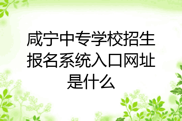 咸宁中专学校招生报名系统入口网址是什么