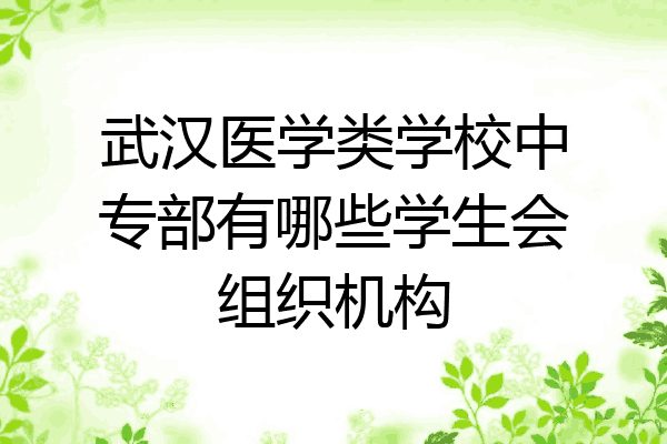 武汉医学类学校中专部有哪些学生会组织机构