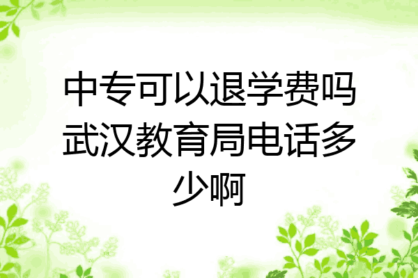 中专可以退学费吗武汉教育局电话多少啊