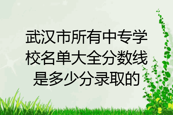 武汉市所有中专学校名单大全分数线是多少分录取的