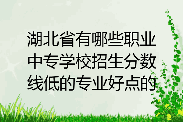 湖北省有哪些职业中专学校招生分数线低的专业好点的