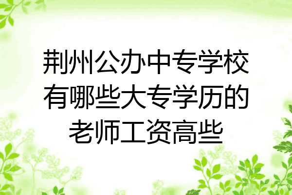 荆州公办中专学校有哪些大专学历的老师工资高些