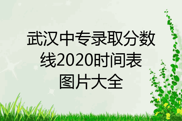 武汉中专录取分数线2020时间表图片大全