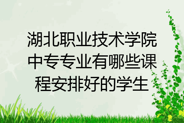 湖北职业技术学院中专专业有哪些课程安排好的学生