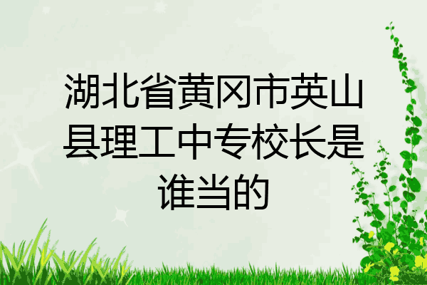 湖北省黄冈市英山县理工中专校长是谁当的