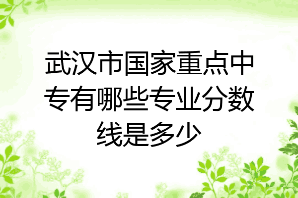 武汉市国家重点中专有哪些专业分数线是多少