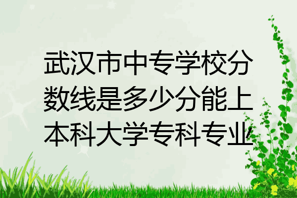 武汉市中专学校分数线是多少分能上本科大学专科专业