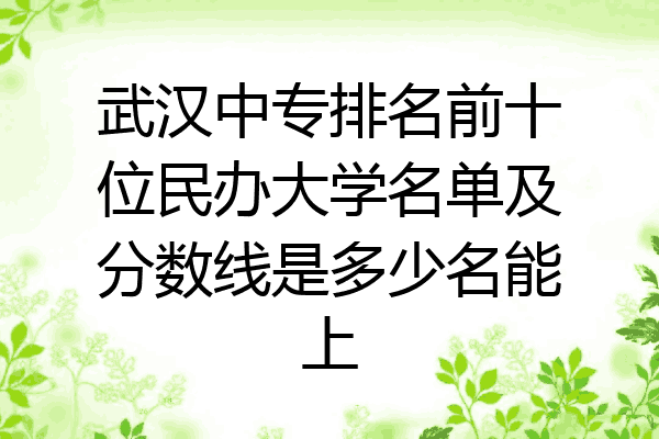 武汉中专排名前十位民办大学名单及分数线是多少名能上