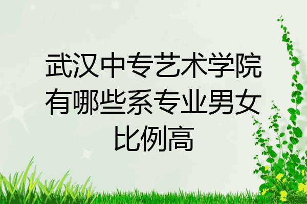 武汉中专艺术学院有哪些系专业男女比例高